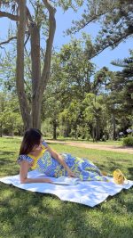 Conjunto saia e top vichy azul com bordados amarelos - Image 10